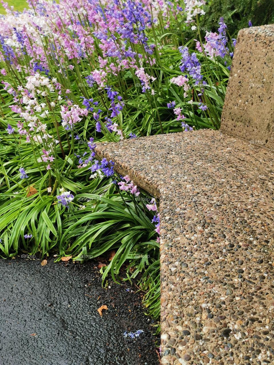 Inviting bench in the park