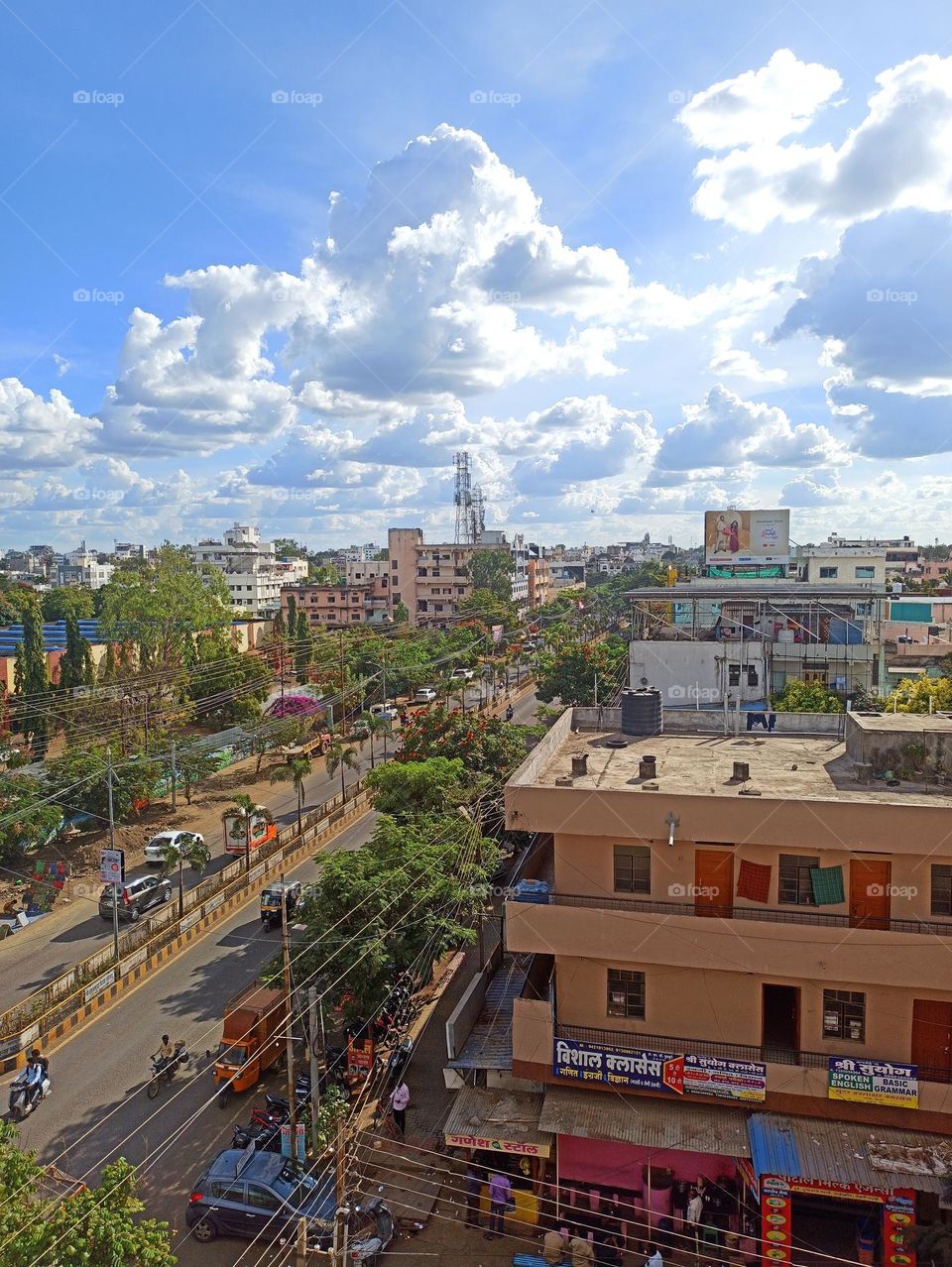 day of light# Summer life