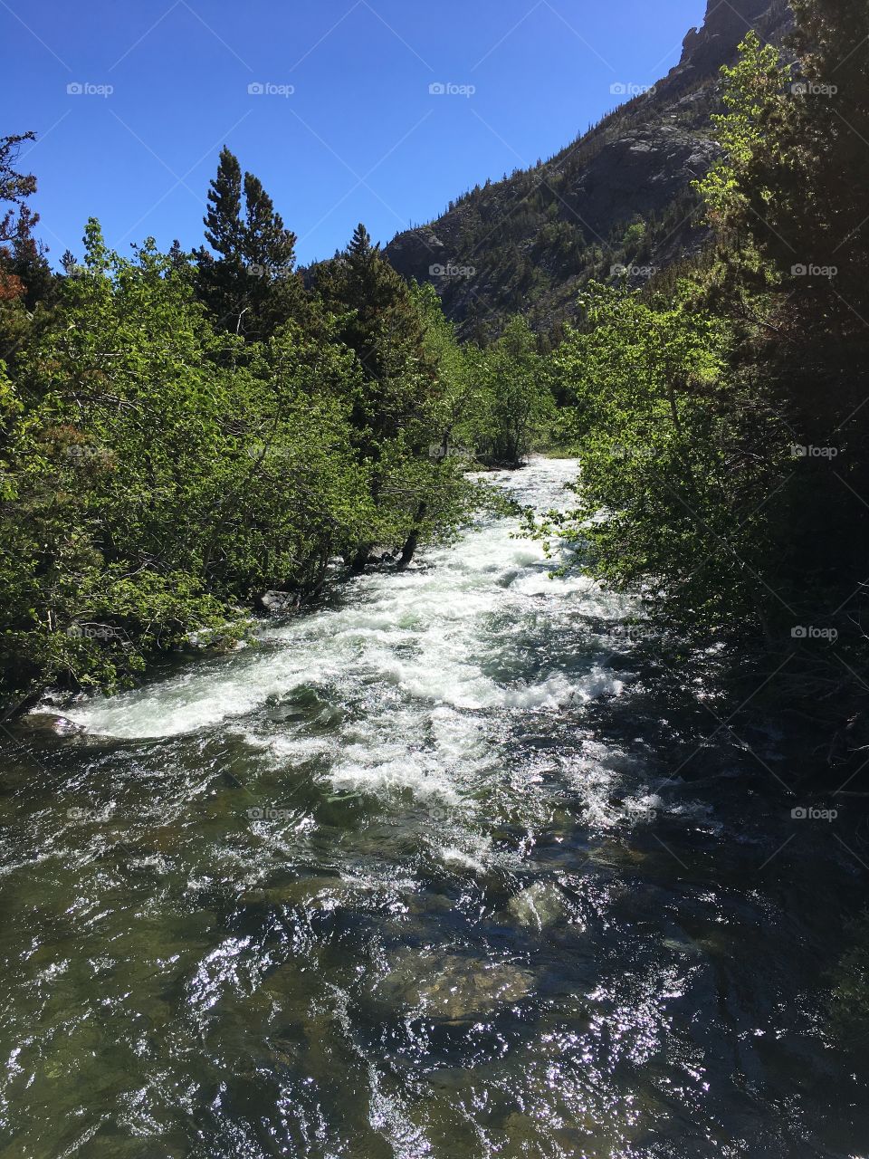 A cold mountain river👌🏻