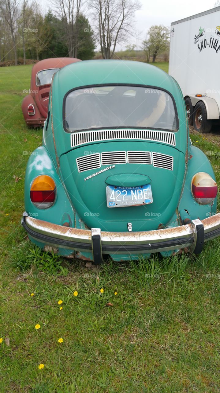 VW bug