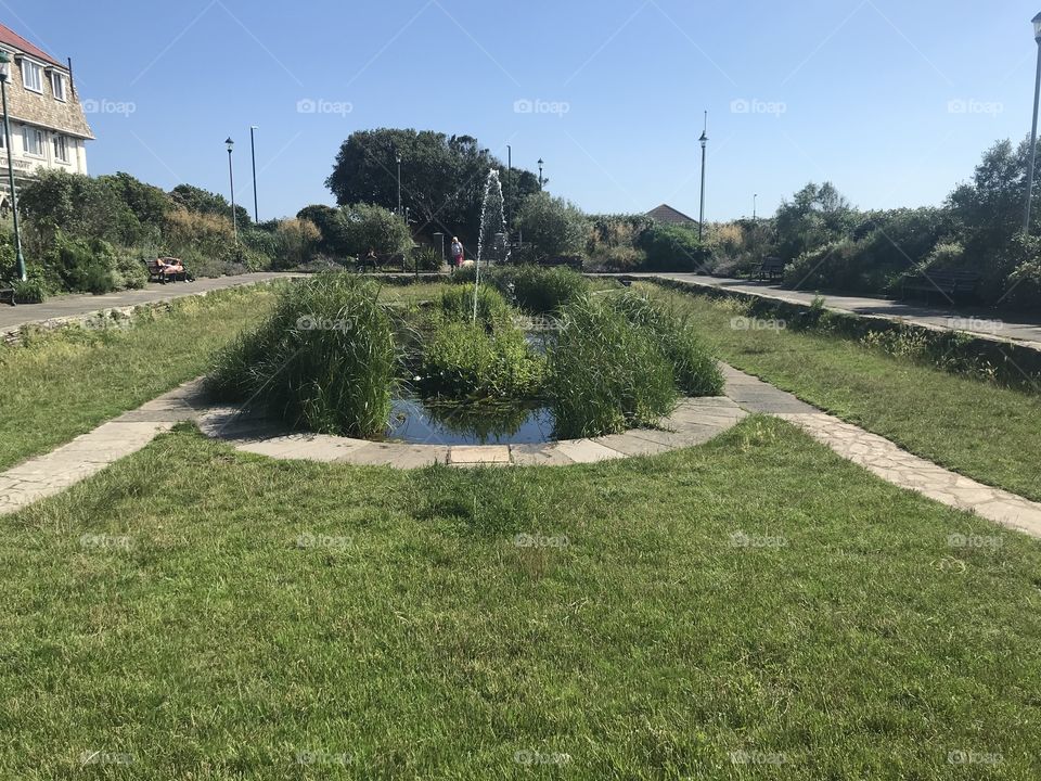 Water feature by the forest 