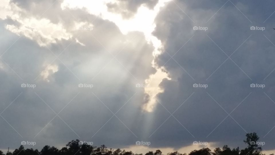 Shining through. I spend too much time looking up.
