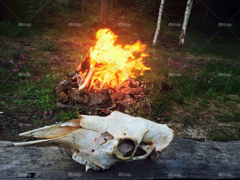 Skull and fire