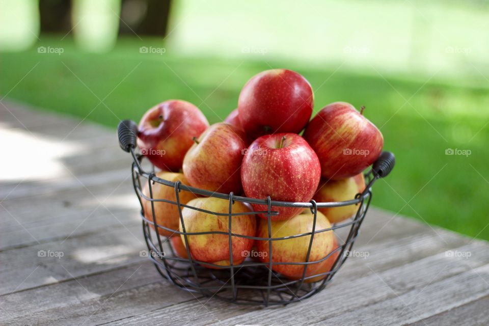 Fruits! - Apples in a wire basket on a weathered wooden surface against a background of blurred trees