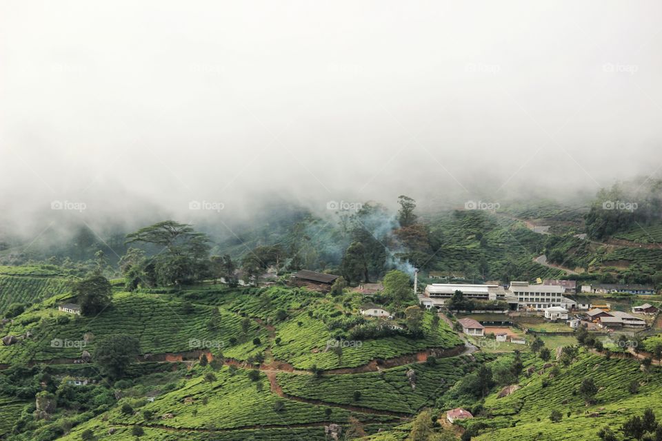 beautiful valley of munnar...clouds engulfing beautiful landscape full of tea gardens...