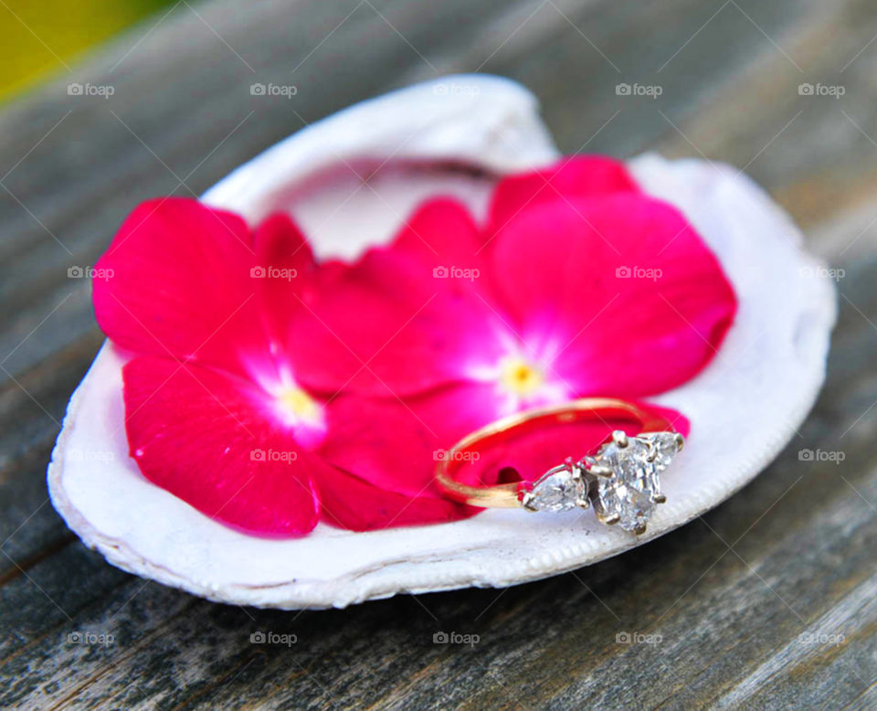 Engagement ring. engagement ring on flower and shell