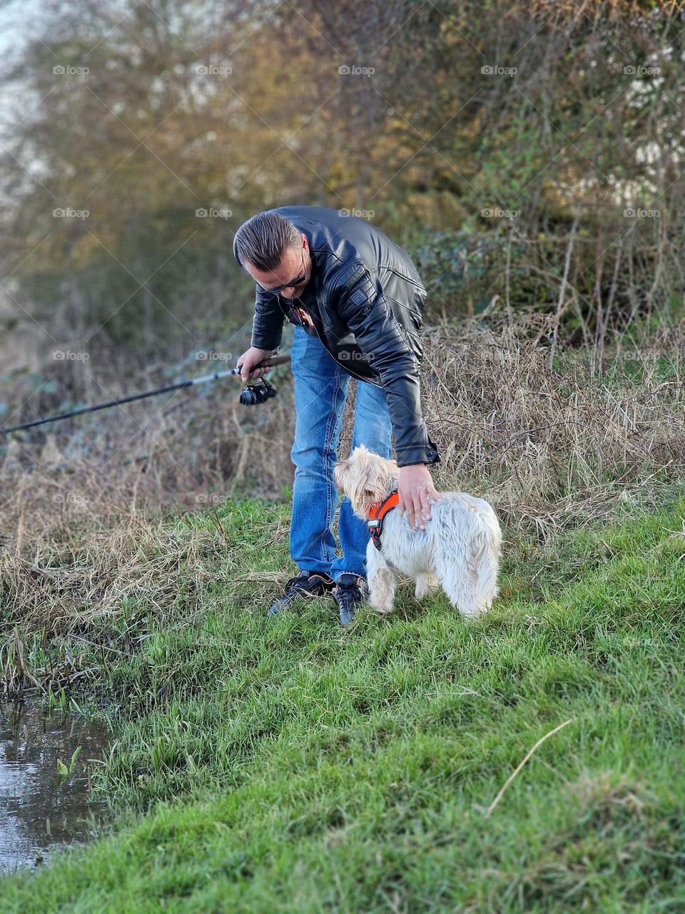 walking woofs