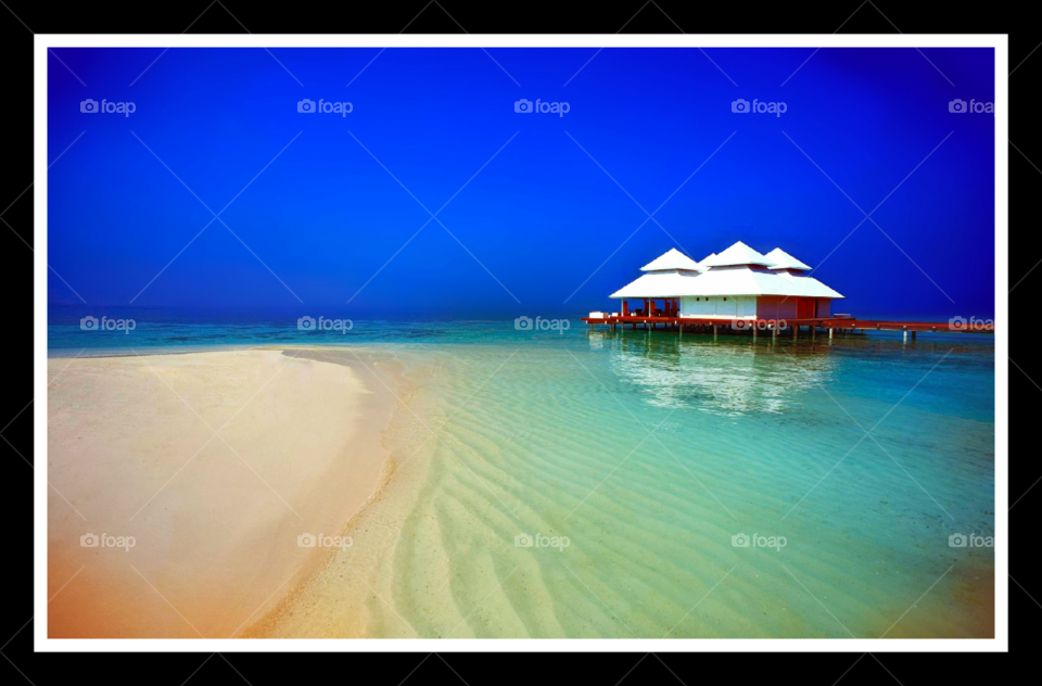 This is about some people moving into their new "Home by the Sea" where they encounter some ghosts. The ghosts start to tell their story and in doing so they condemn the new tenants to an existence as prisoners in their own home.