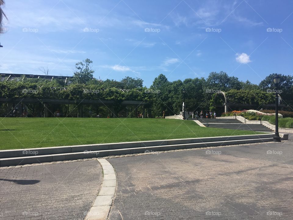 Bright green and blue contrast 