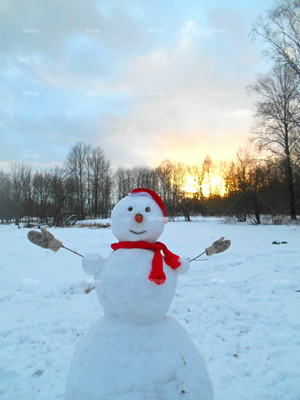 Winter, Snow, Cold, Snowman, Recreation