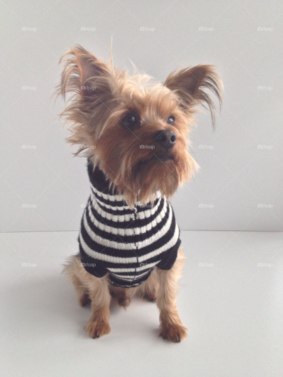 happy closeup white black by StyleDone