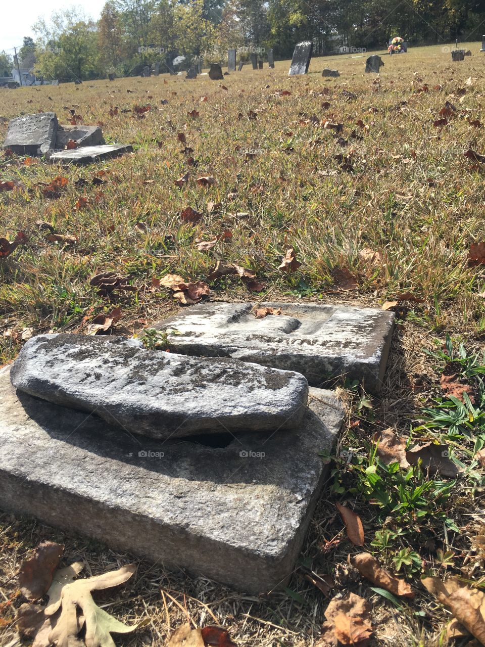 Fallen headstone