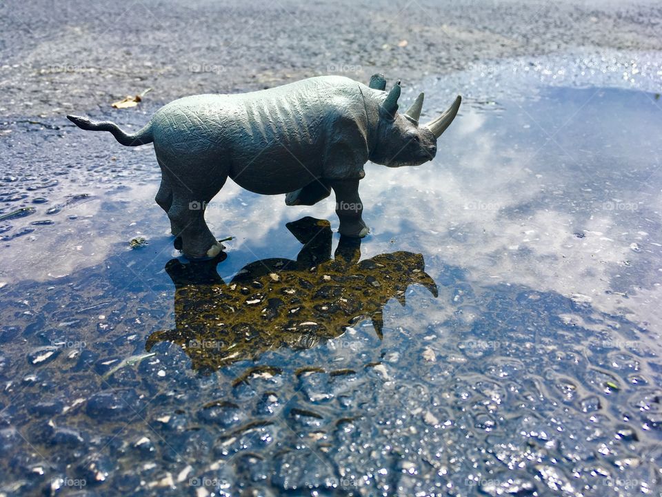 Toy Rhinoceros blue sky white clouds reflection