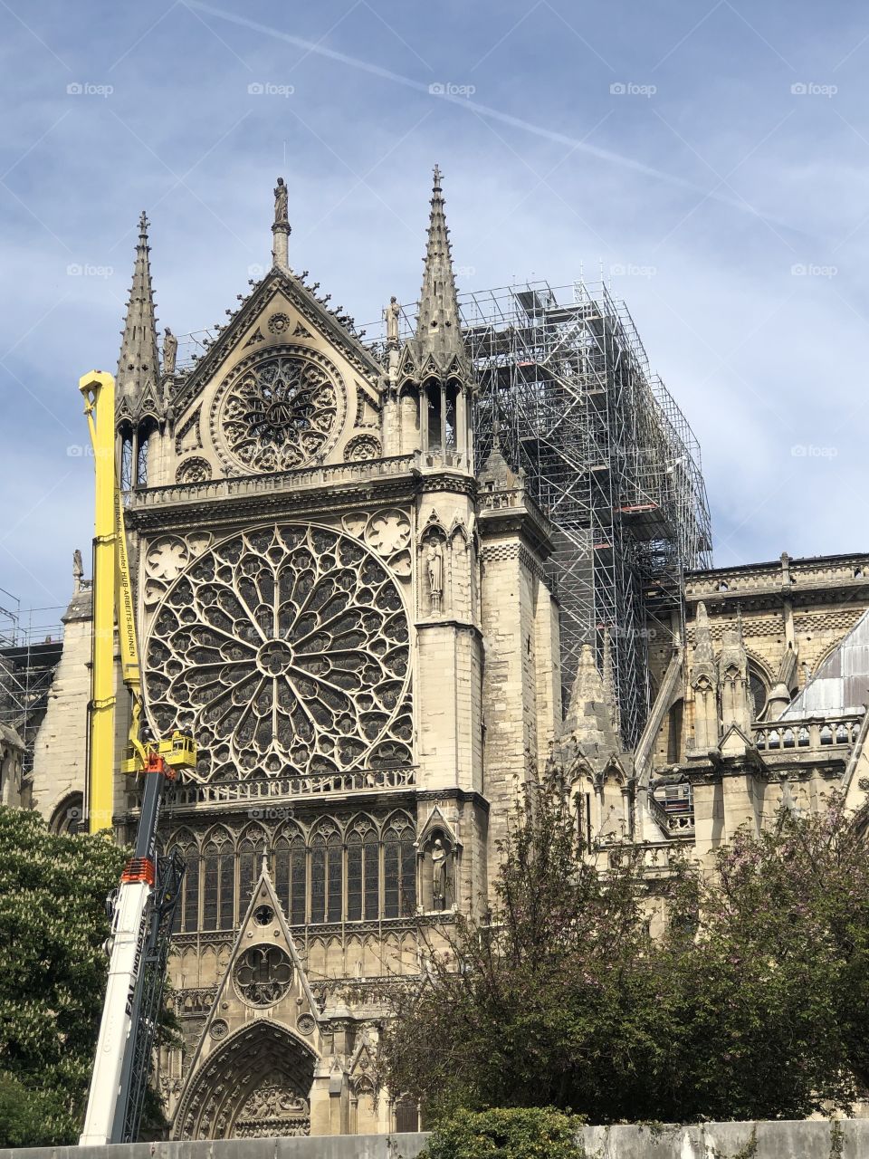 Notre Dame - Paris - abril 2019
