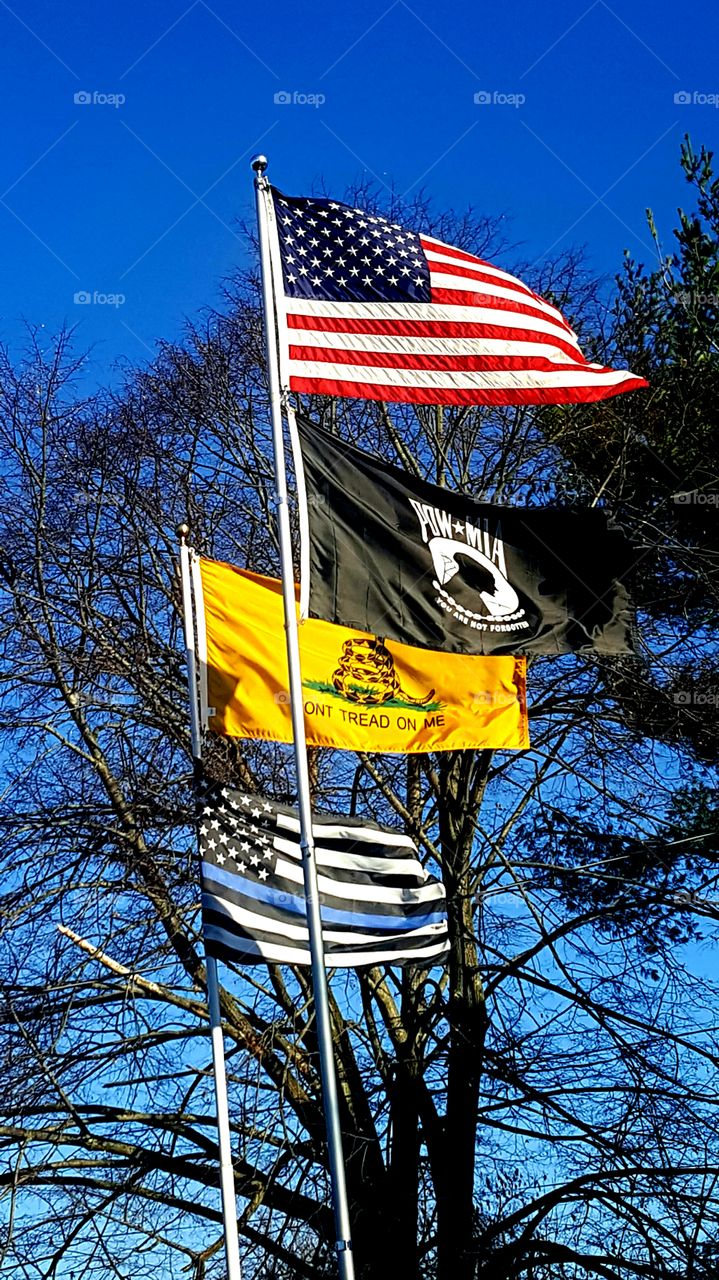 Patriot ,Never forget ,Don't tread on me ,Integrity ,Honor ,Public Server ,God bless