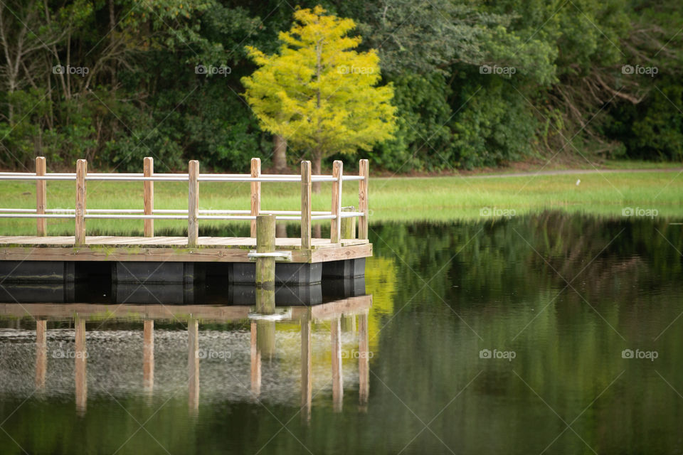 Wood fishing dock in tranquility