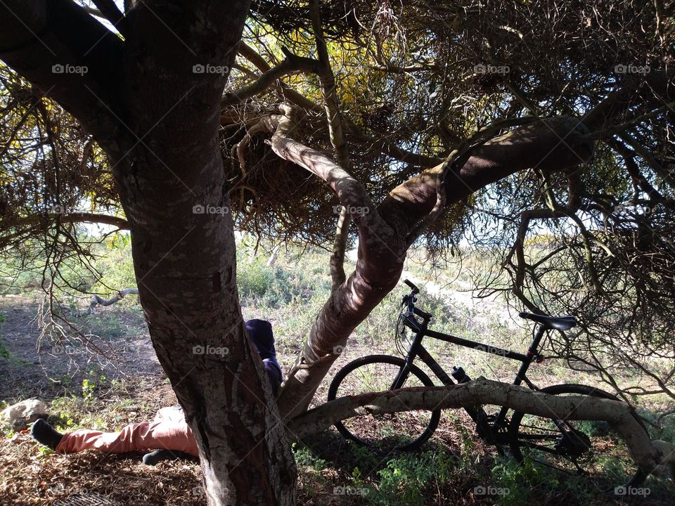 time relaxing in the side trees
