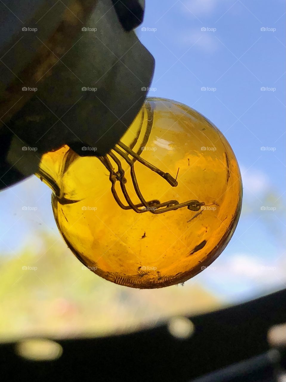 Closeup of automotive signal bulb with metal filaments intact