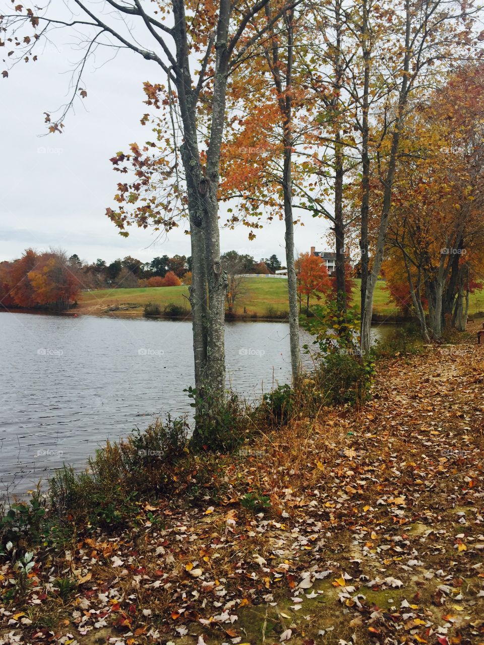 Fall lake