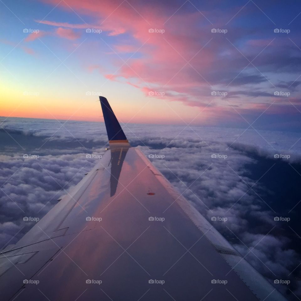 Where are you going today?