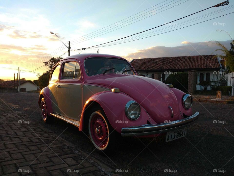 Pink old beatle