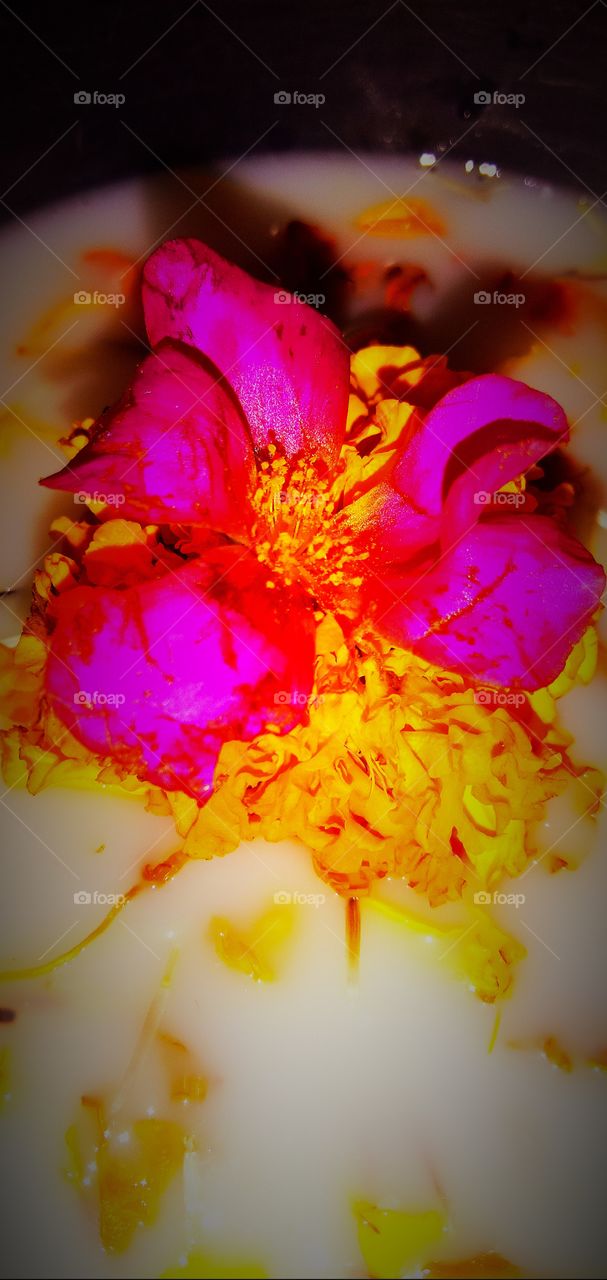 ꧁༒महादेव★༒࿐