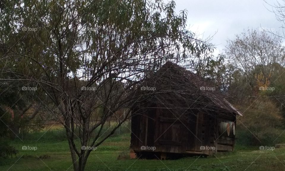 Old Alabamian Barn