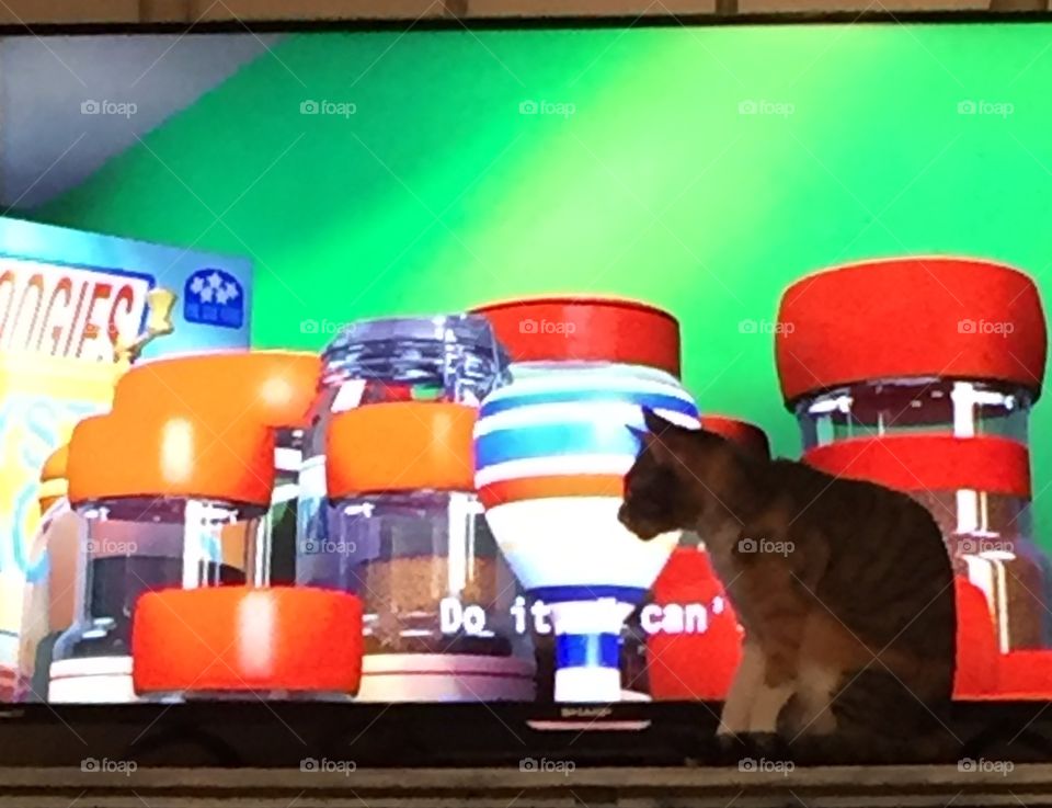 A flat screen television episode with a cat on the tv stand watching what is on. 