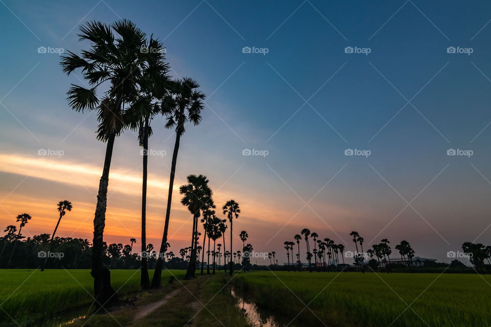 Sunrise at Dong Tan, Pathum Thani