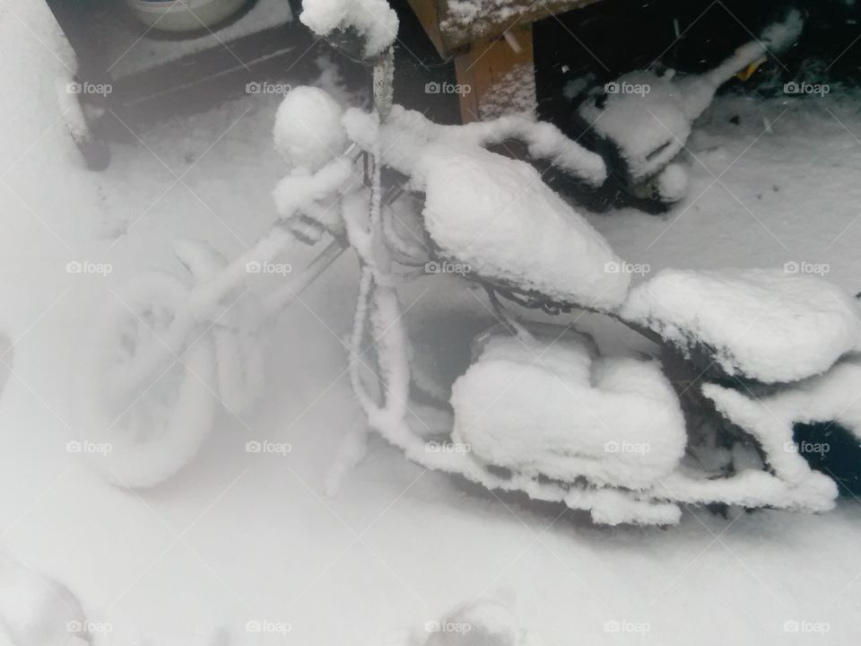 Snowter cycle