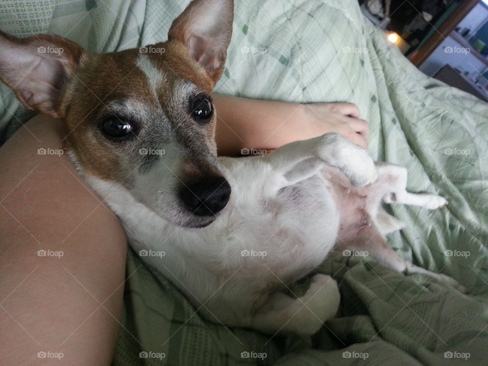 Entertaining thoughts