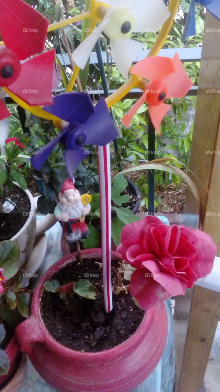 this pick shows beautifull flower decorated by a small dwarf and a fun park toy with very beautifull colors!