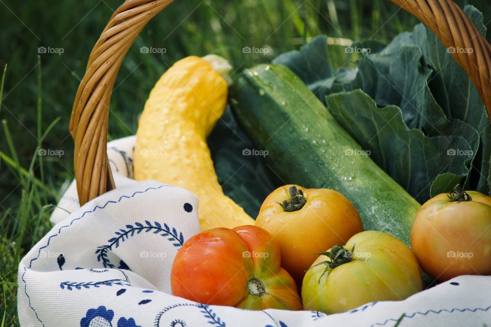 Fresh vegetables from the garden