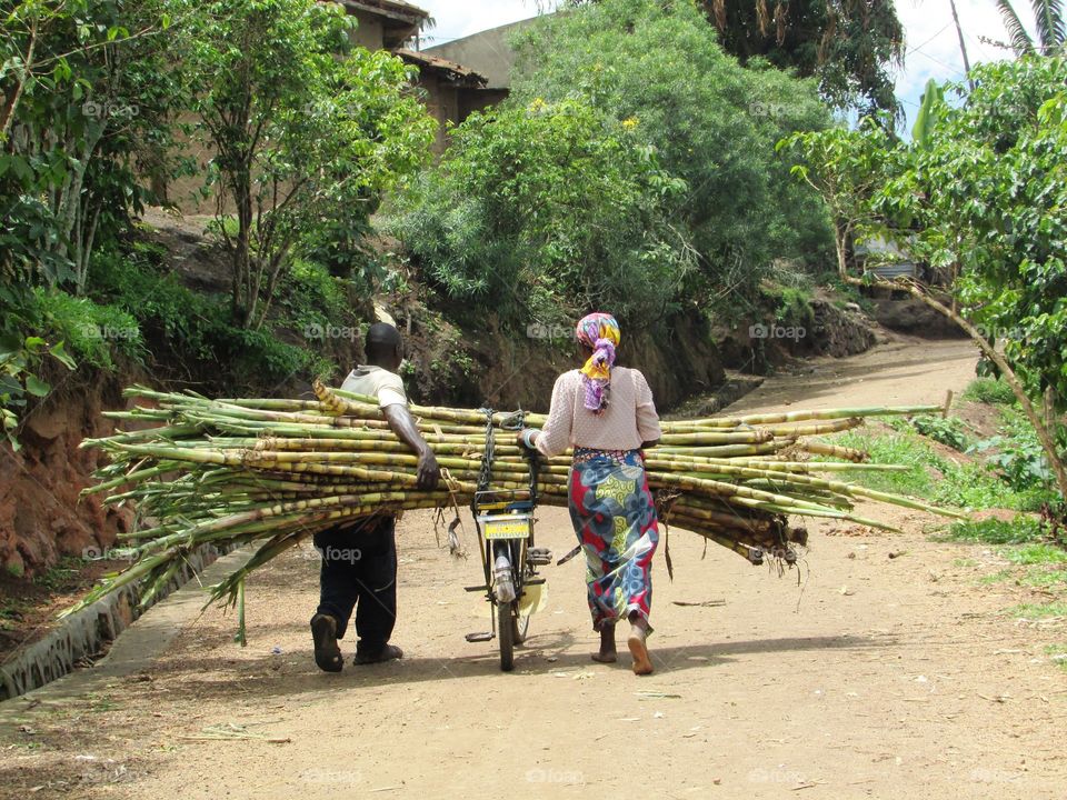Selling sugar canes
