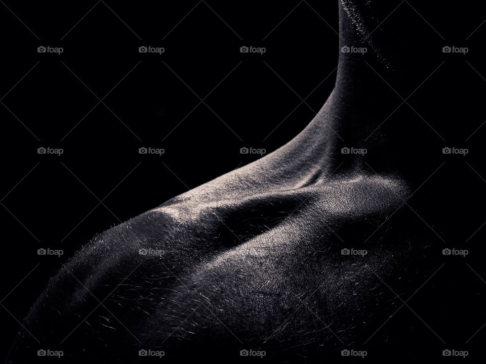 A shoulder to lean on