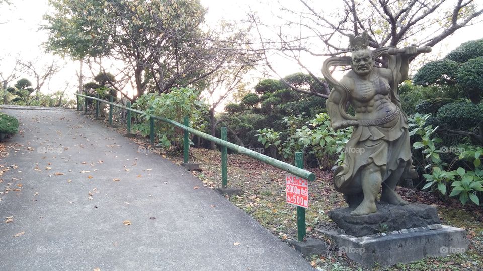 Inam-Innovation photography.