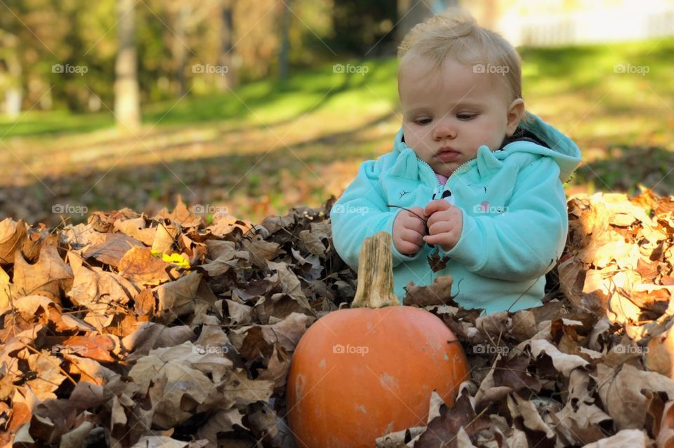 Completely amused with leaves. 