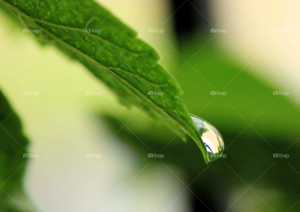 Droplets