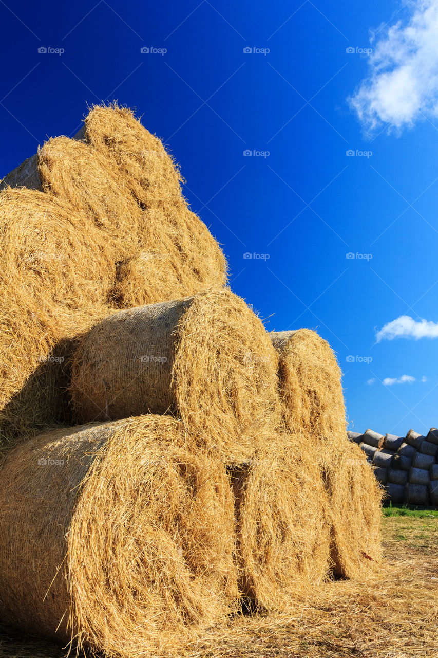 Straw bales