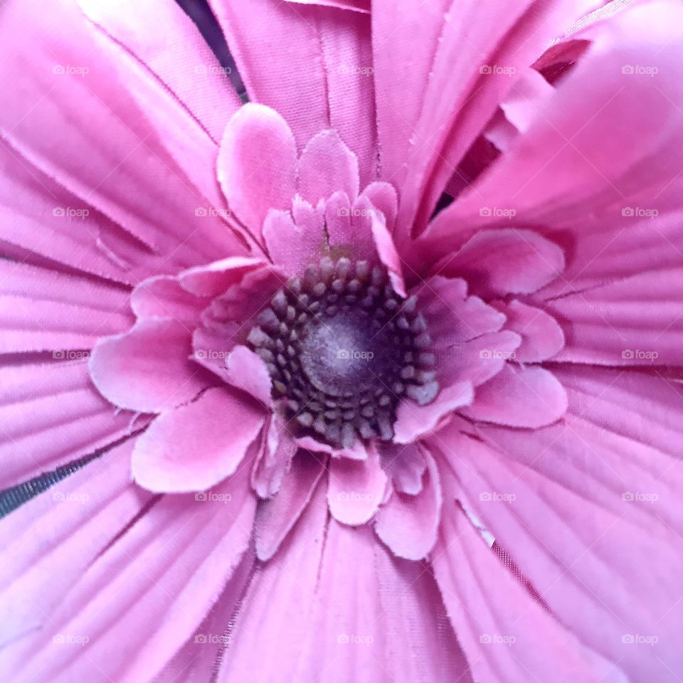 Pink fake flower in the backyard.