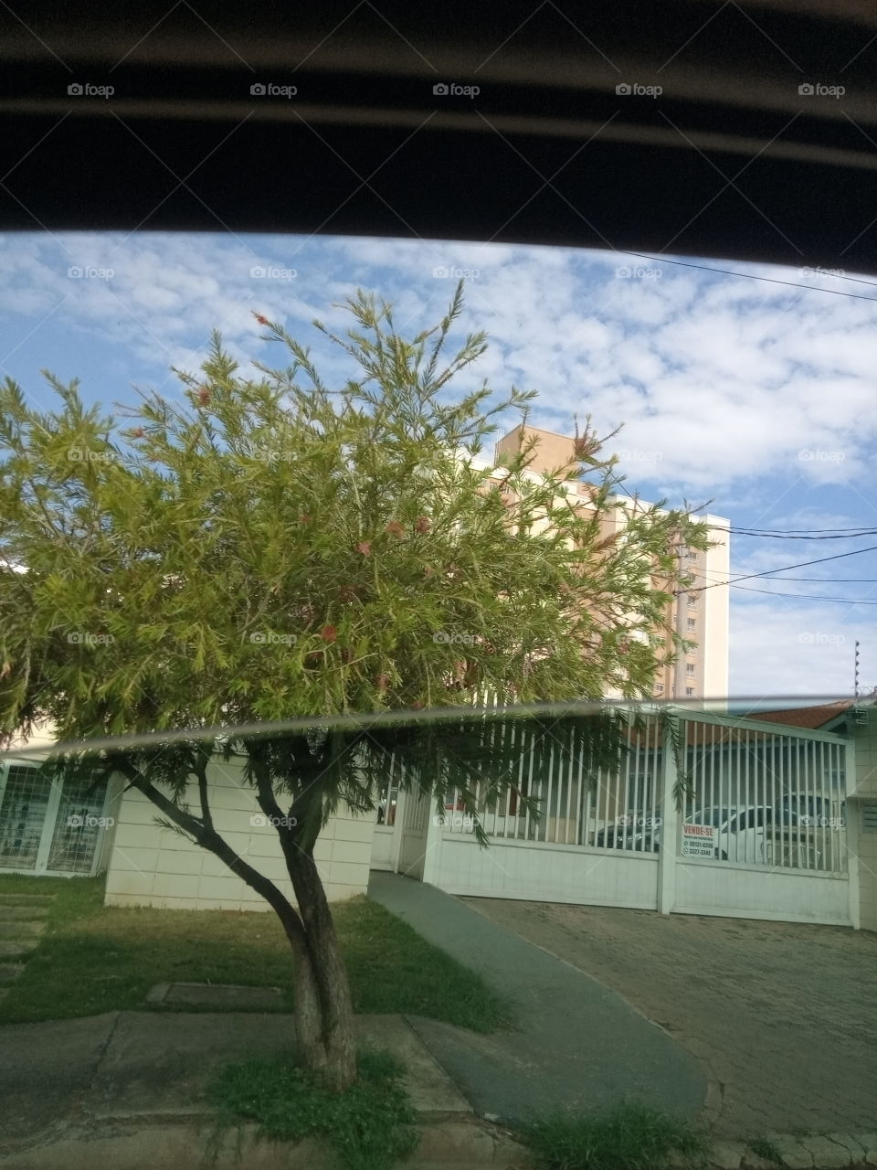 A Natureza e, seus encantos!