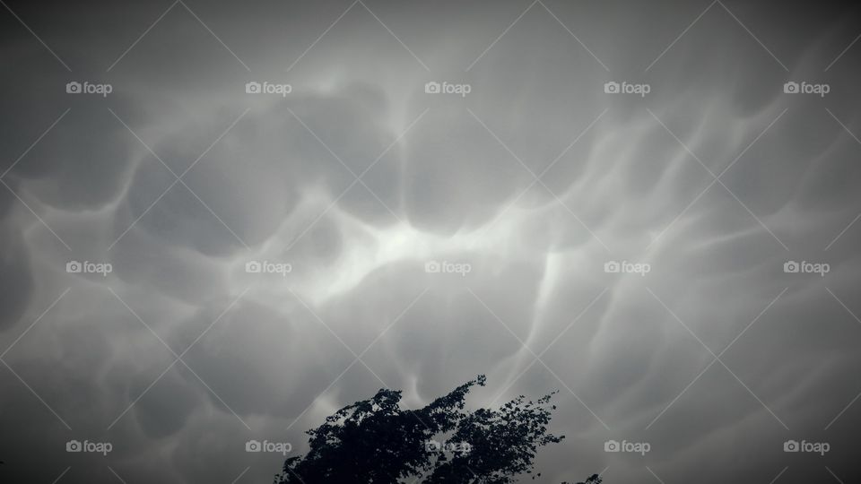 Scenic view of nature