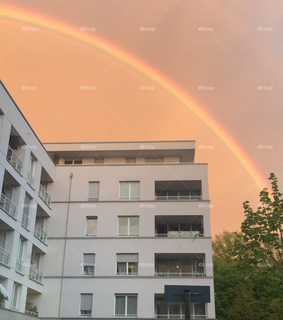 Over the rainbow in Berlin 