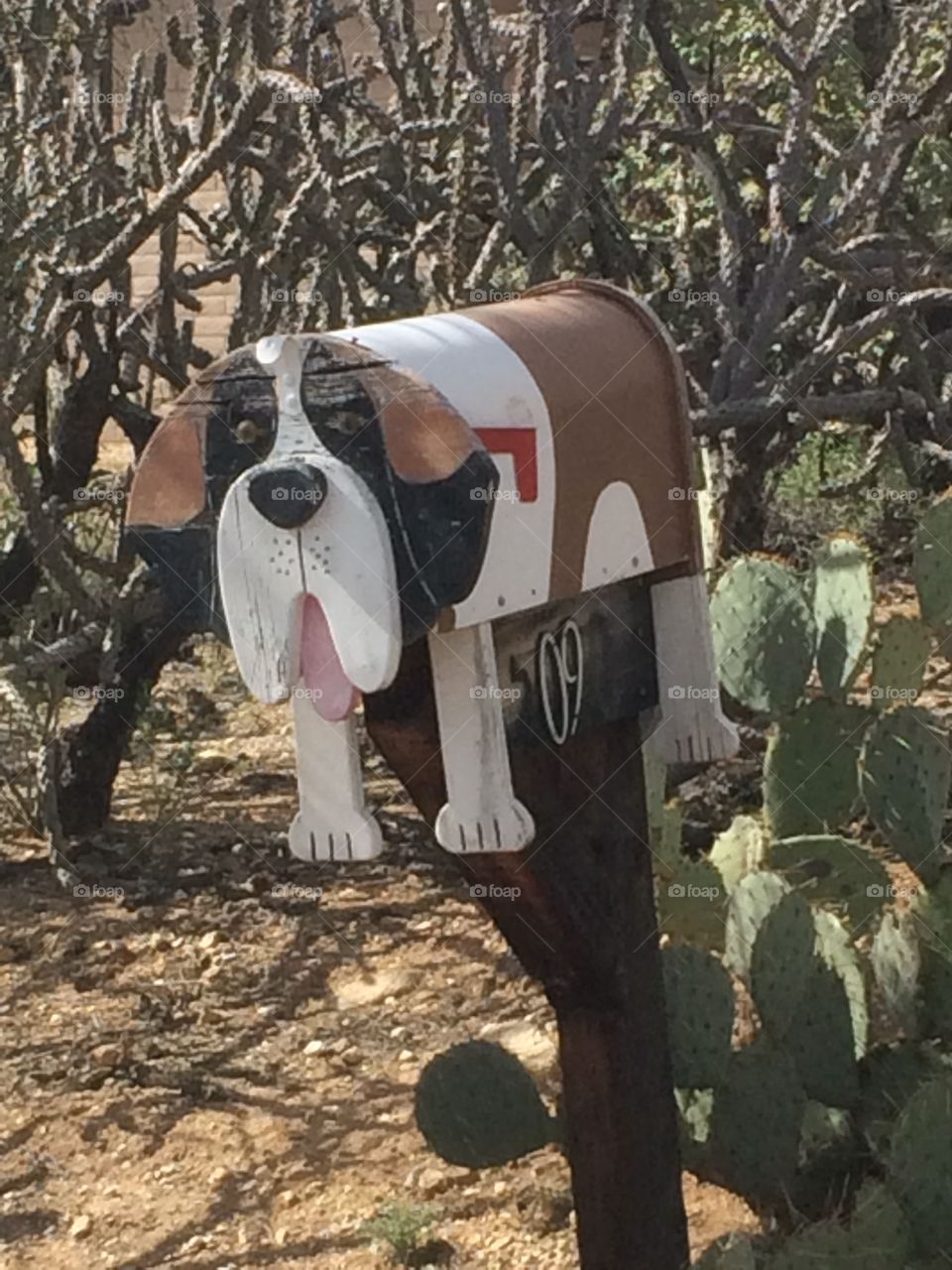 Unusual mailbox