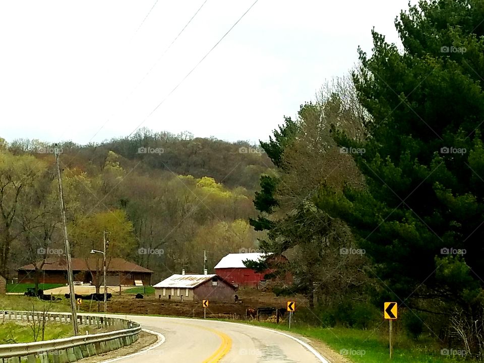 Driving the back Roads and enjoying everything around us