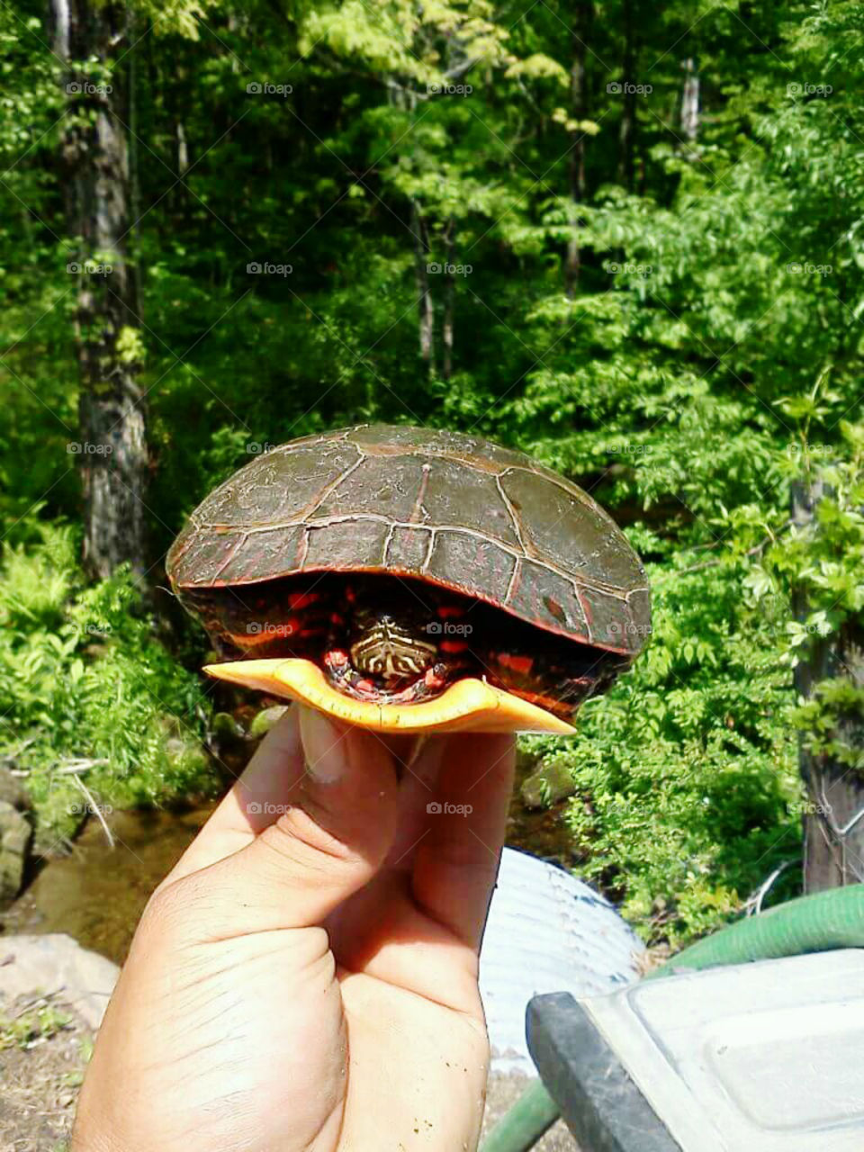 WHAT A MARVEL IN MY HANDS.