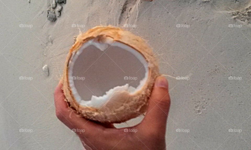 High angle view of hand holding coconut