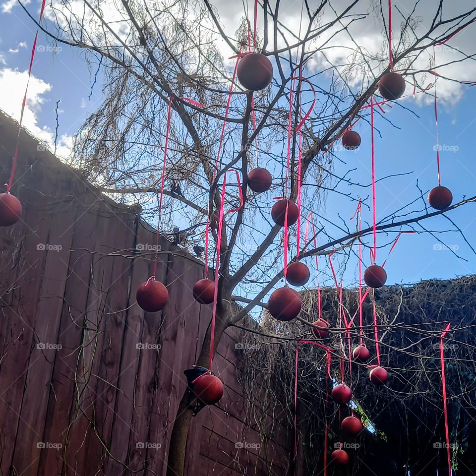 Red Christmas  balls in a yard