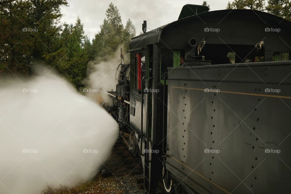 Steam Train