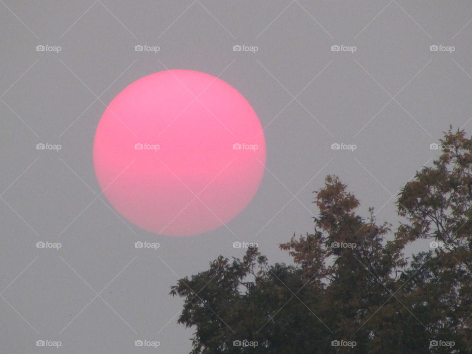 Sun looks pink